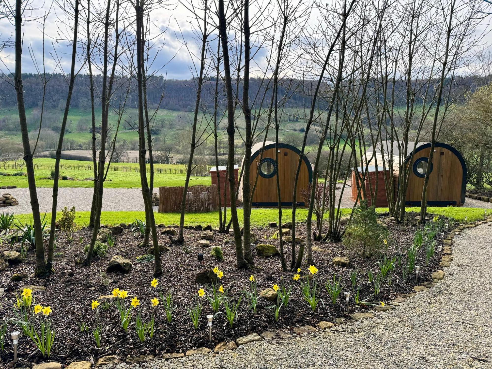Hotel Luxury Glamping In North Yorkshire National Park & Coastal Area Scarborough Exteriér fotografie